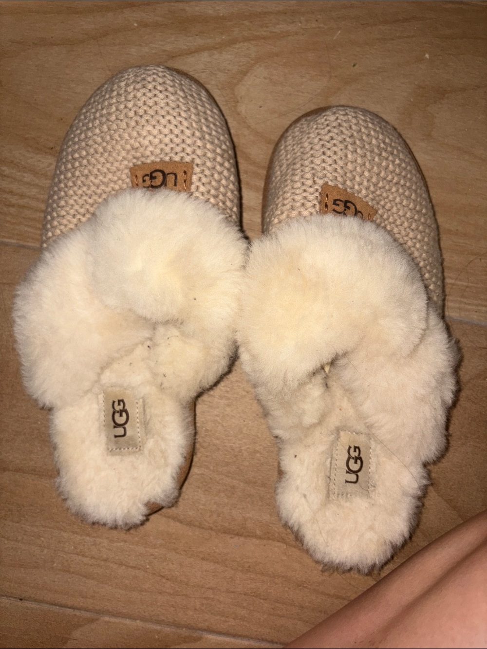 Ugg Slipper